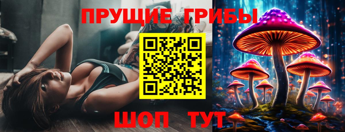 Галлюциногенные грибы Psilocybine cubensis Сочи